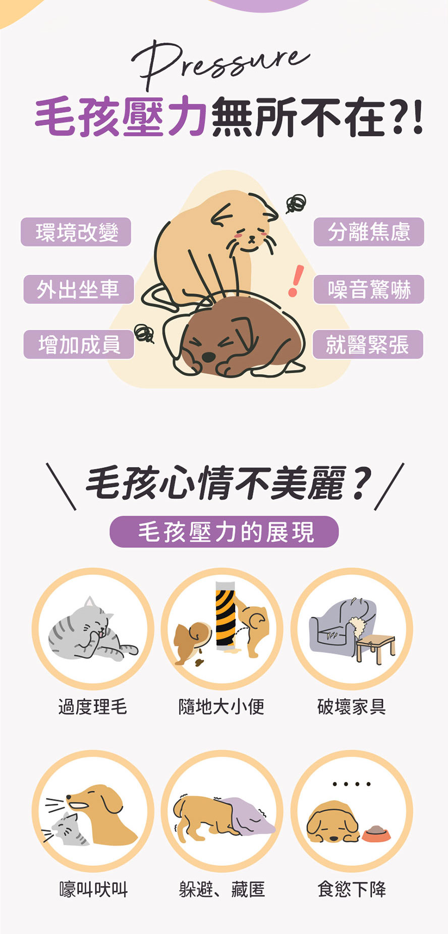 毛孩壓力大的常見表現：過度理毛、隨地大小便、破壞家具、吠叫、躲藏、食慾下降。