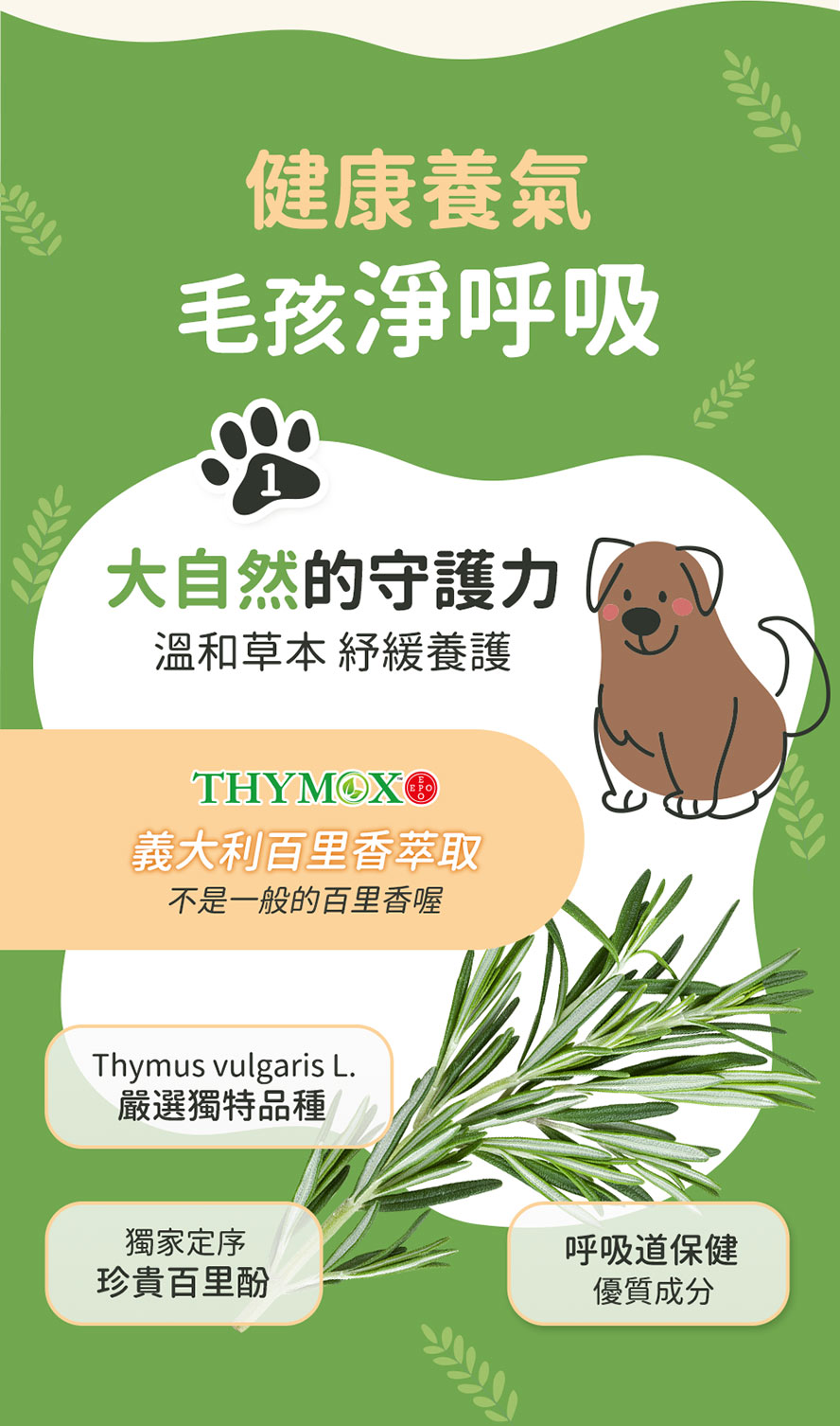 犬貓呼吸道保健食品，選用義大利百里香萃取，溫和舒緩不適。