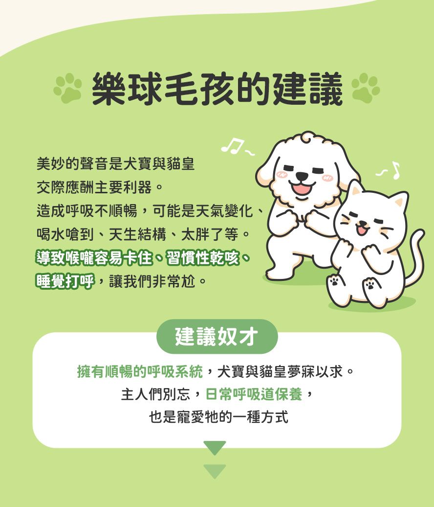 主人們!毛孩的呼吸系統日常保健很重要。