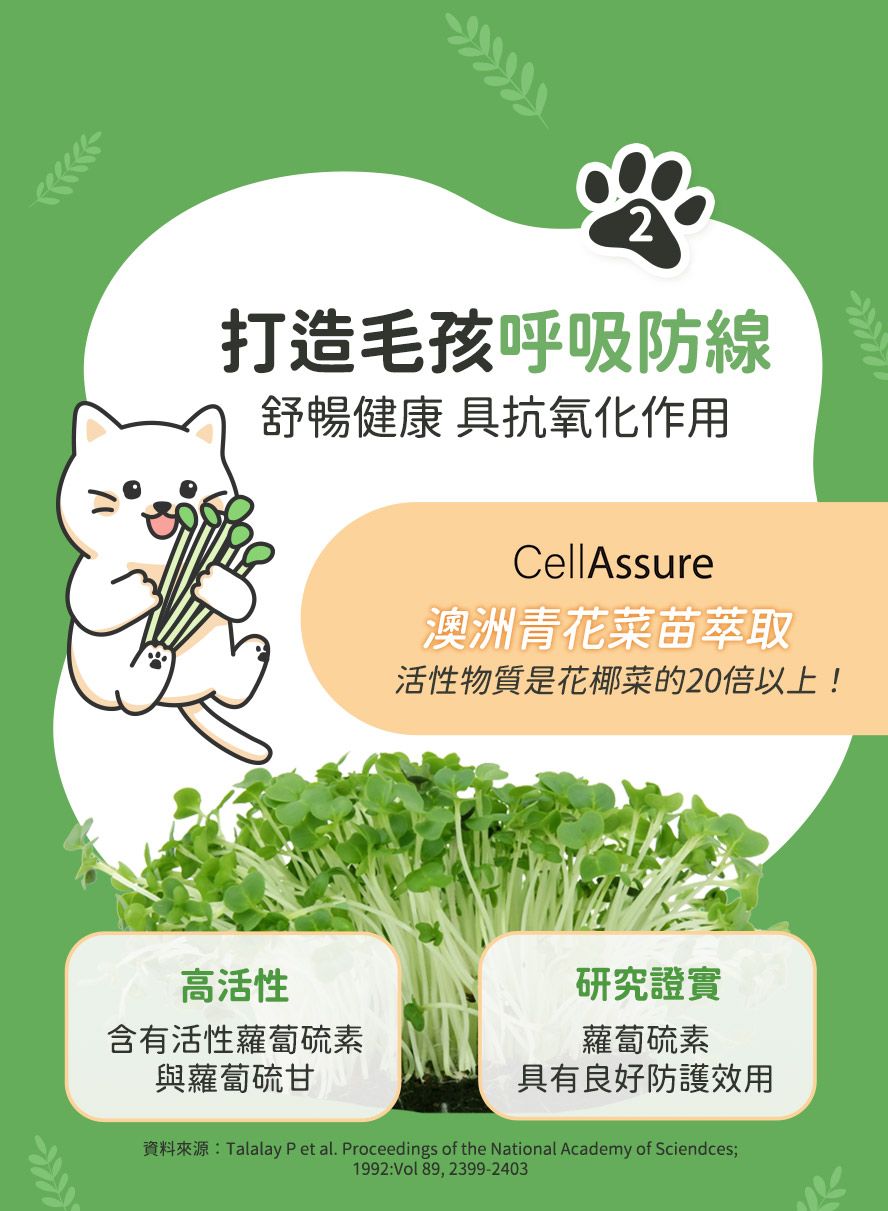 青花菜苗萃取物,活性蘿蔔硫素,具抗氧化作用,維持保護力。