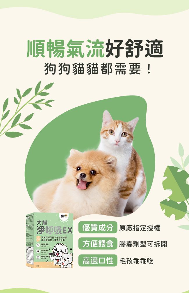 採用膠囊劑型,直接餵食或拌入飼料中,高適口,輕鬆餵。