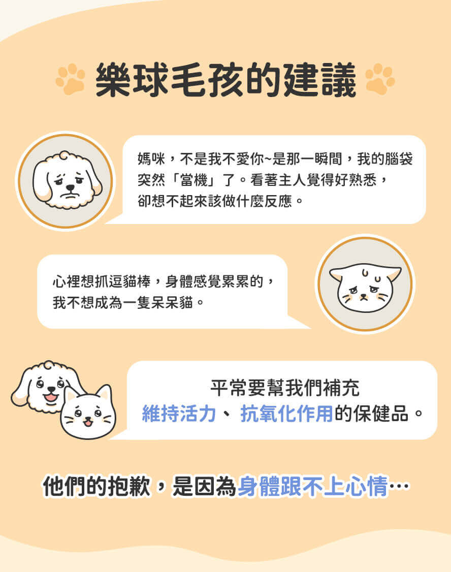 毛孩的困擾:忘記去哪裡上廁所、日夜顛倒、活動力減退。