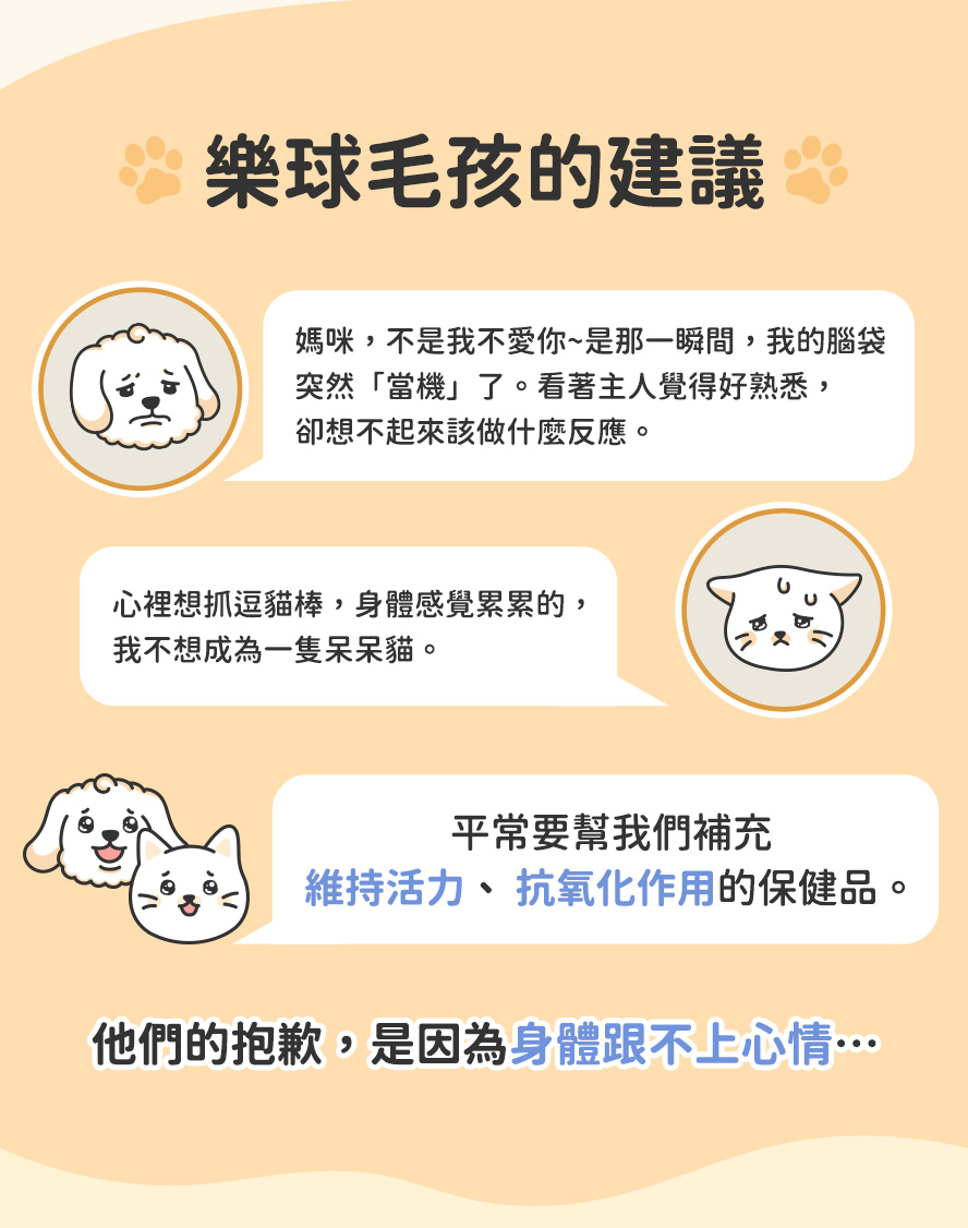 貓咪有這些困擾：時常抓癢、異常舔特定部位、毛色黯粗糙、下巴粉刺。