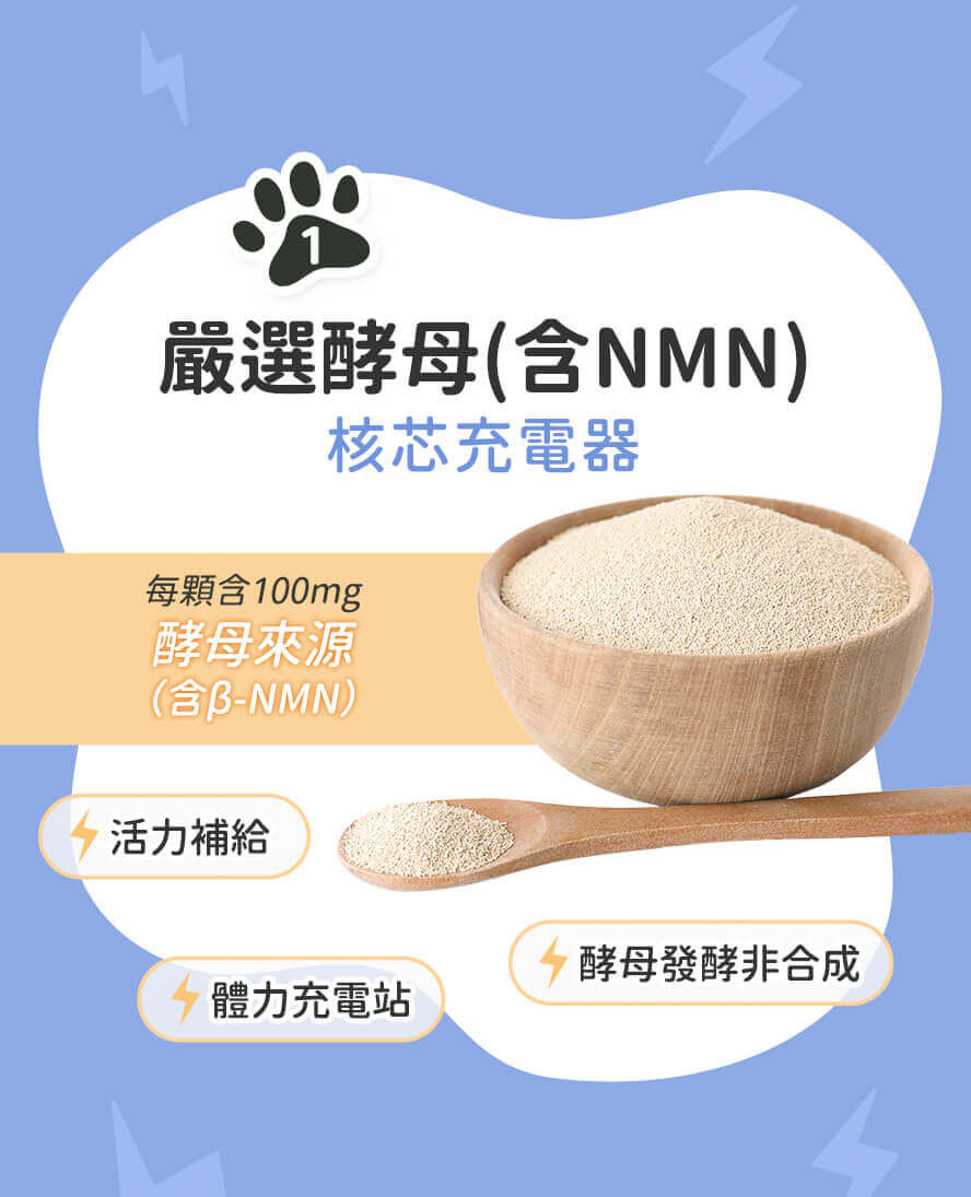 維持青春活力的關鍵因子:高規格酵母NMN。