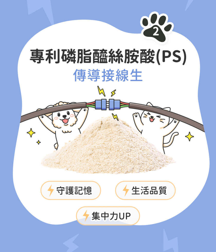 幫助認知健康的貢獻因子:專利磷脂醯絲胺酸(PS)。