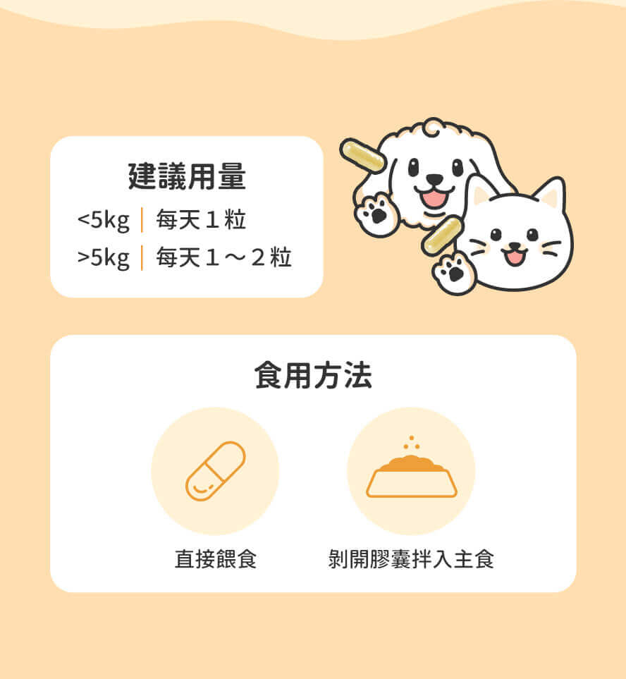 多種餵食方式,輕鬆補充NMN輕靈素。