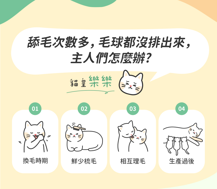 貓咪過度舔毛，排毛不順利怎麼辦?