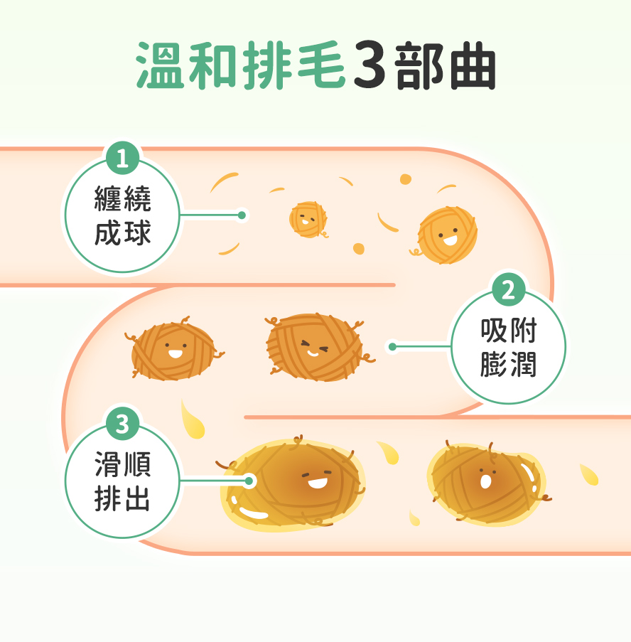 溫和排毛3步驟，毛髮纏繞、吸附、滋潤排出