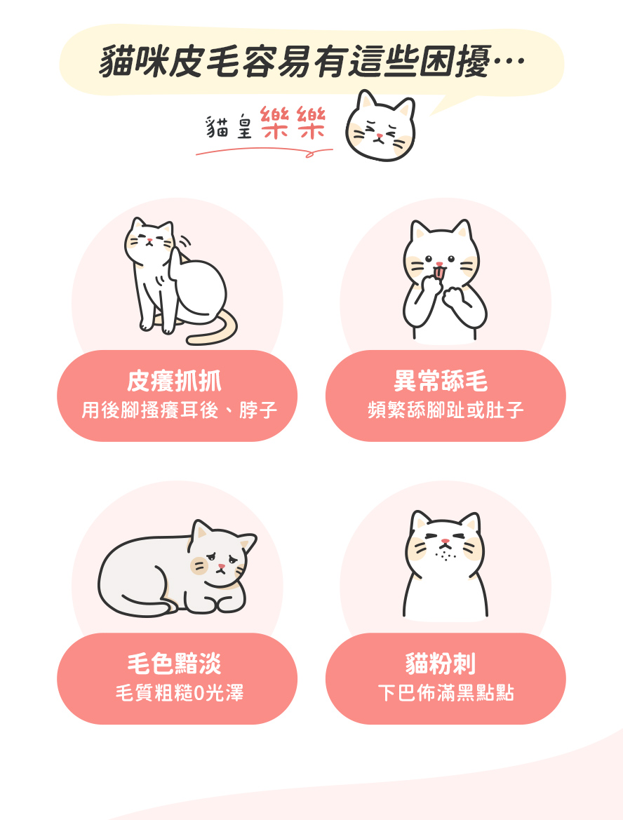 貓咪有這些困擾：時常抓癢、異常舔特定部位、毛色黯粗糙、下巴粉刺。