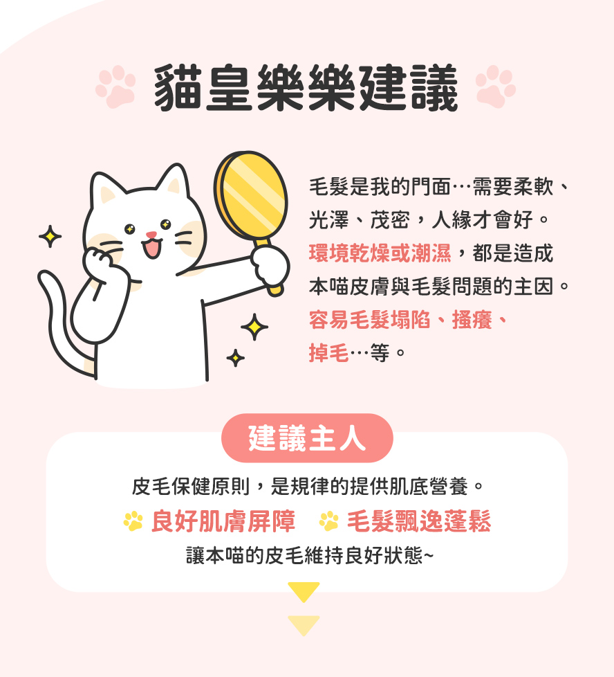 貓皇內心話，毛髮塌陷、掉毛、皮膚搔癢怎麼辦?