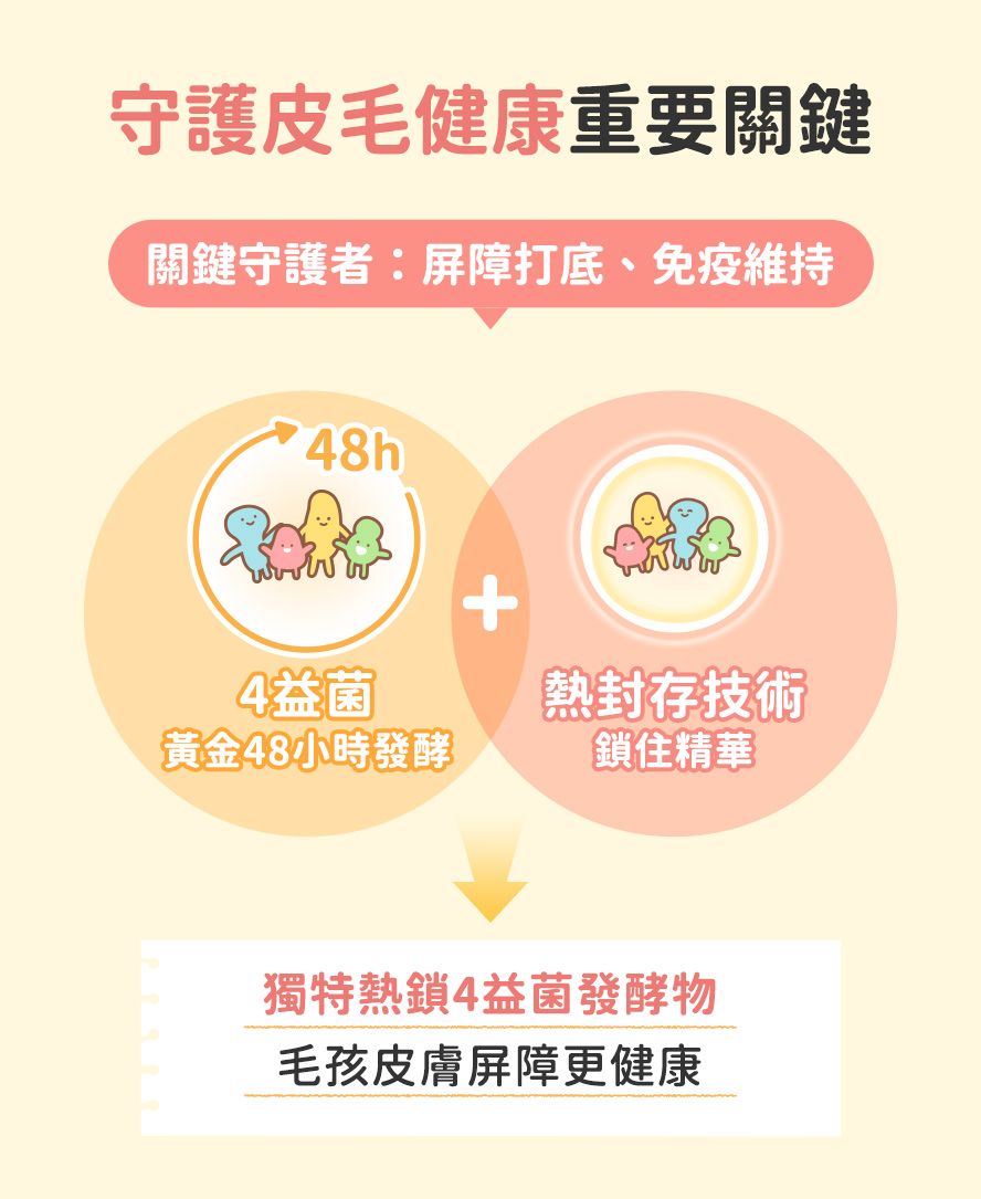貓咪皮膚打底關鍵因子：專利熱鎖4益菌(後生元)。