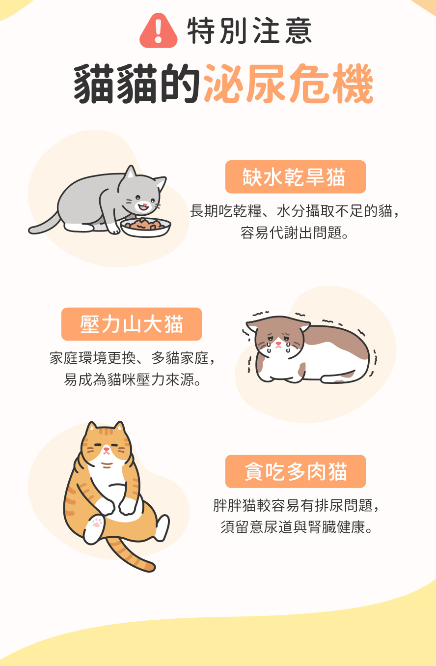 貓咪泌尿大危機族群：水喝不夠、壓力大、肥胖貓