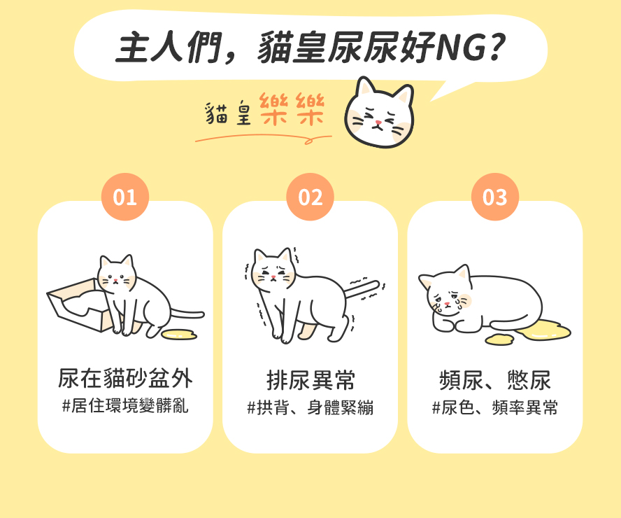 貓咪泌尿問題，尿在貓砂盆外、排尿異常、頻尿、血尿