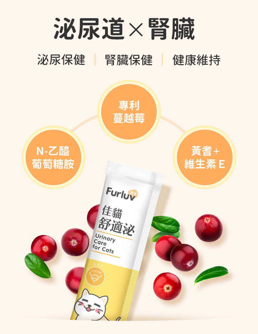 讓貓咪腎臟與泌尿道健康的原因