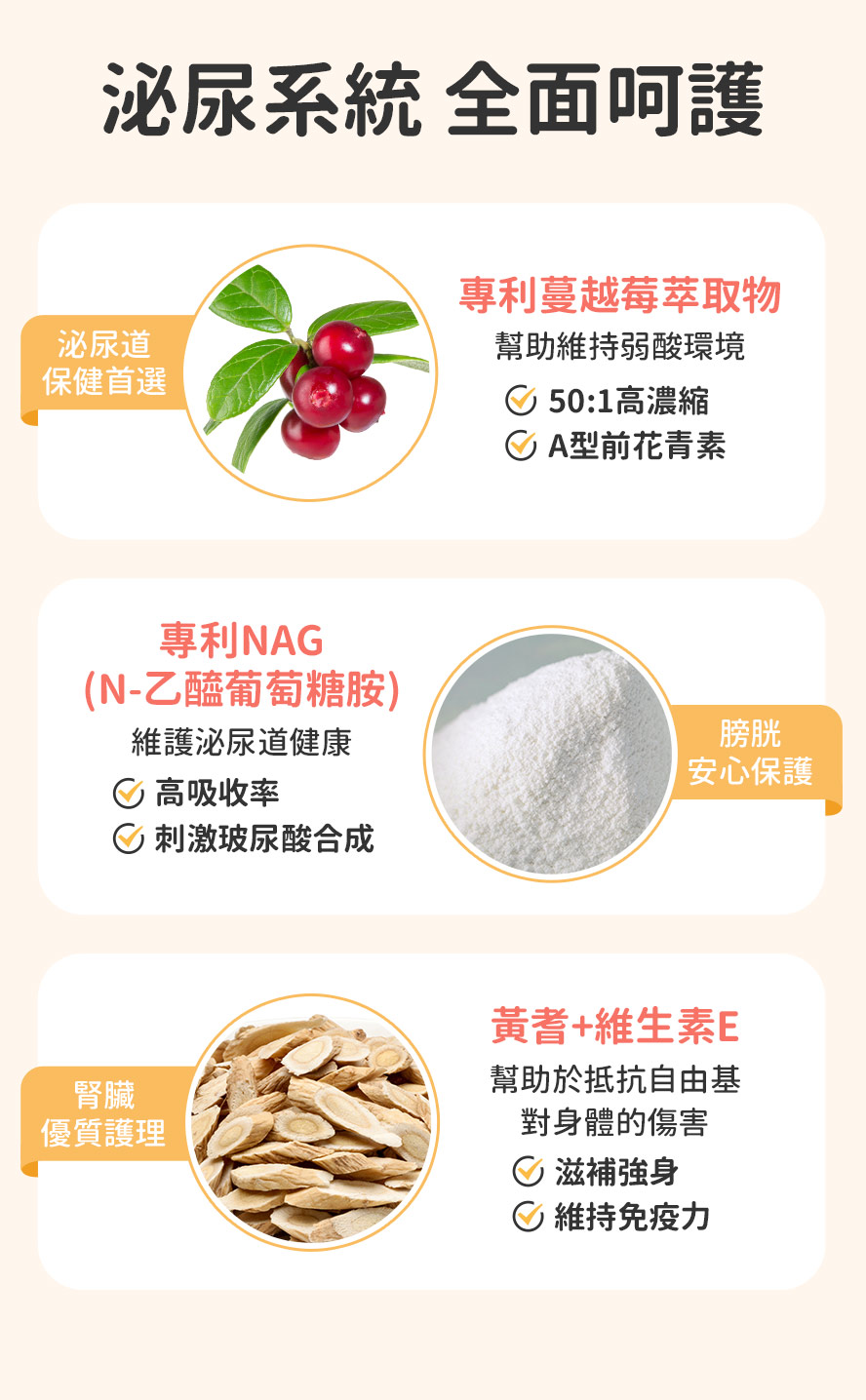 泌尿系統呵護，專利蔓越莓、專利NAG、黃耆