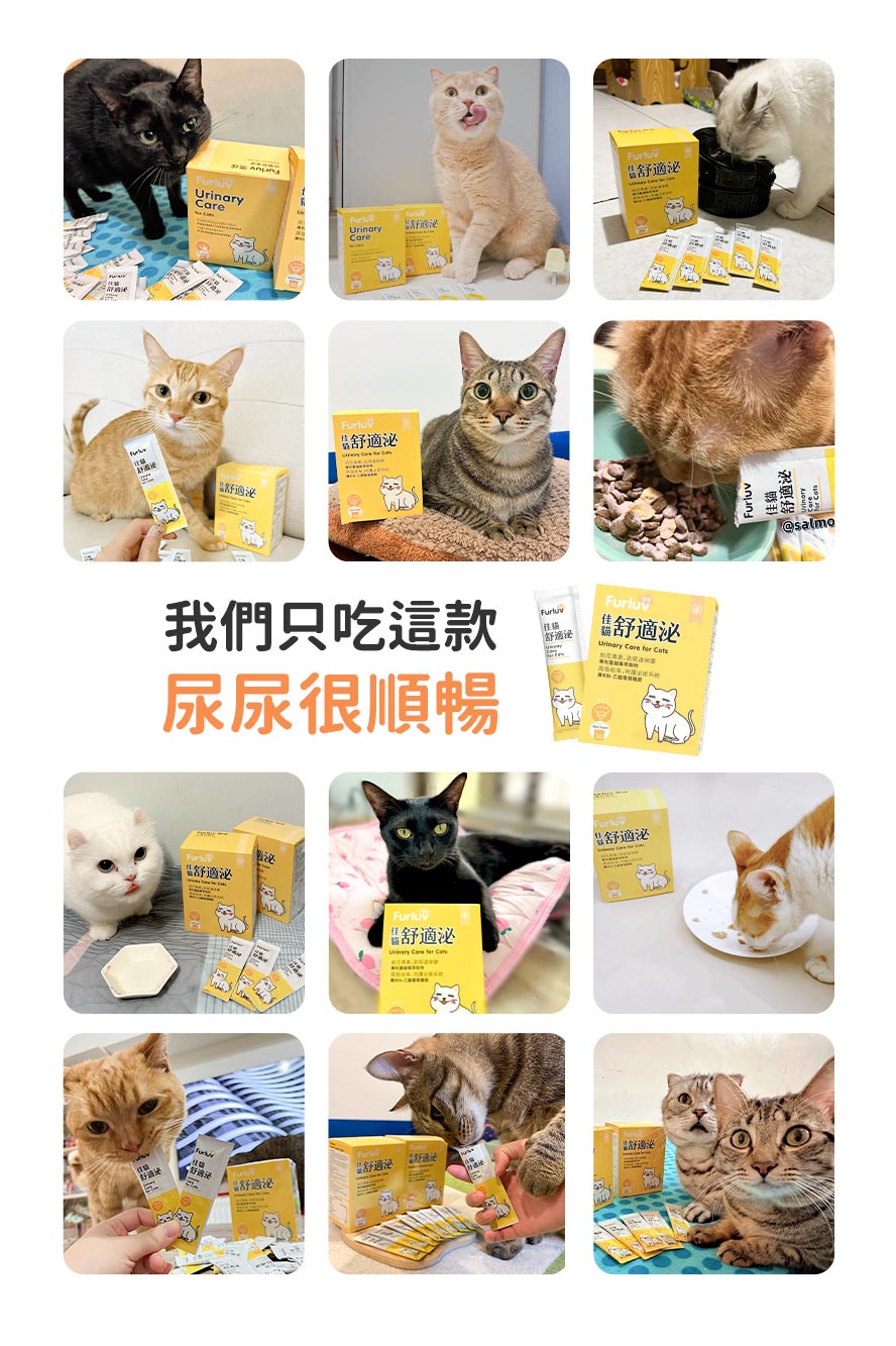 眾多貓皇推薦食用舒適泌，尿尿好順暢
