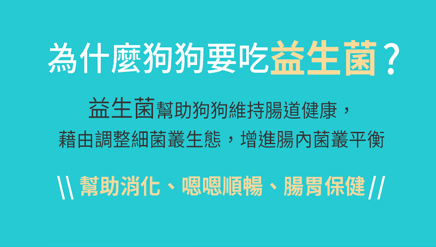 狗狗該吃益生菌的3大主因：幫助消化、促進排便、腸胃保健，補好菌可以增進腸內菌叢平衡，維持腸道基本健康