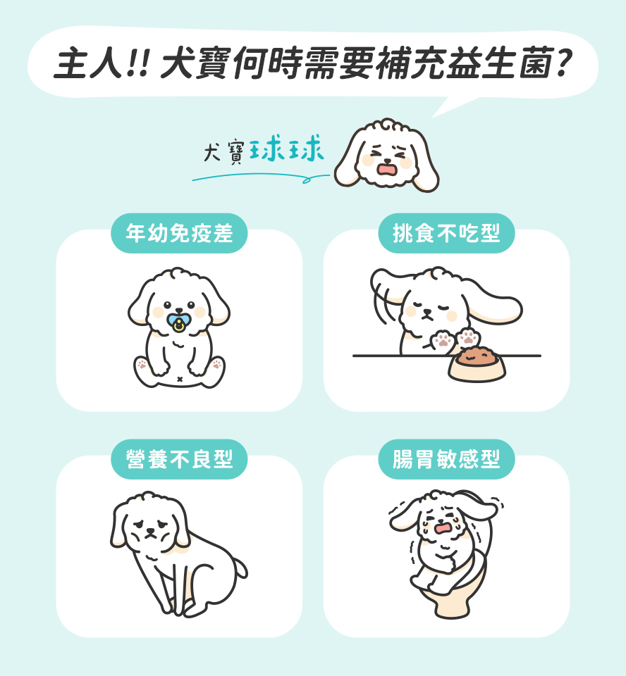 誰最需要補充，年幼免疫差、高齡犬挑食、營養不良、腸道敏感者。