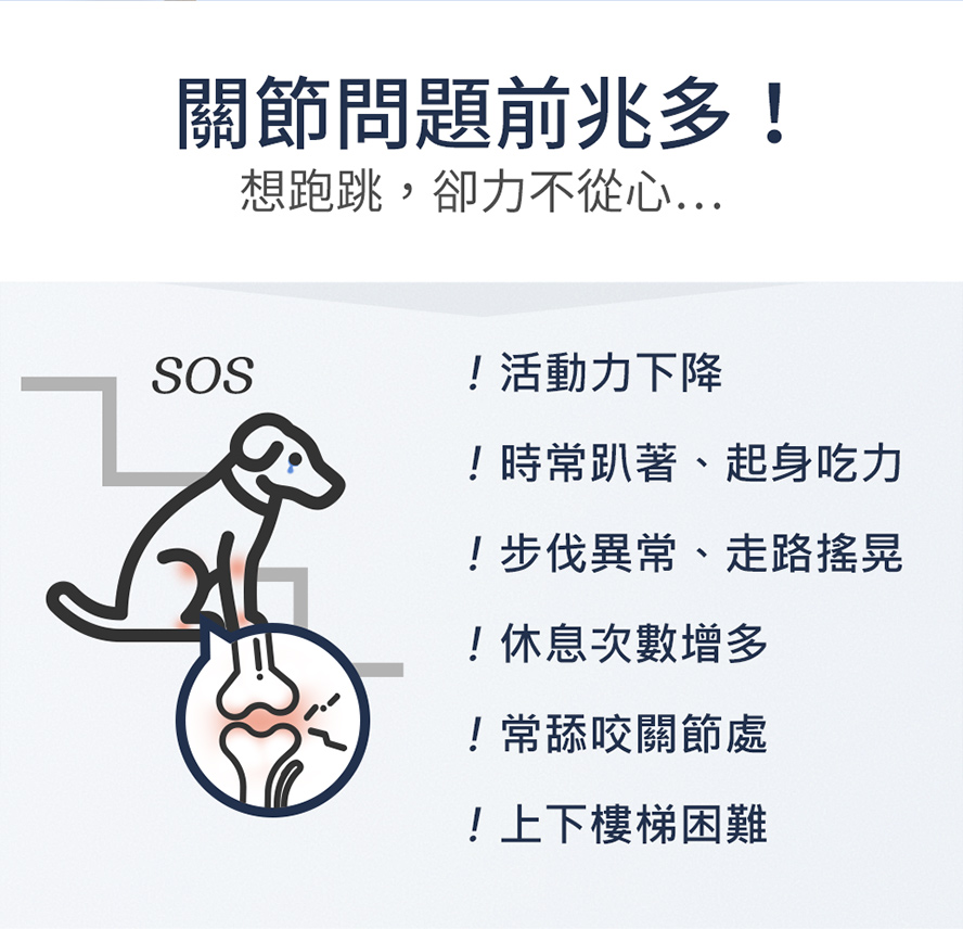 狗狗活動力下降、起身吃力、步伐異常、不愛出門、休息次數變多，可能是關節出現問題