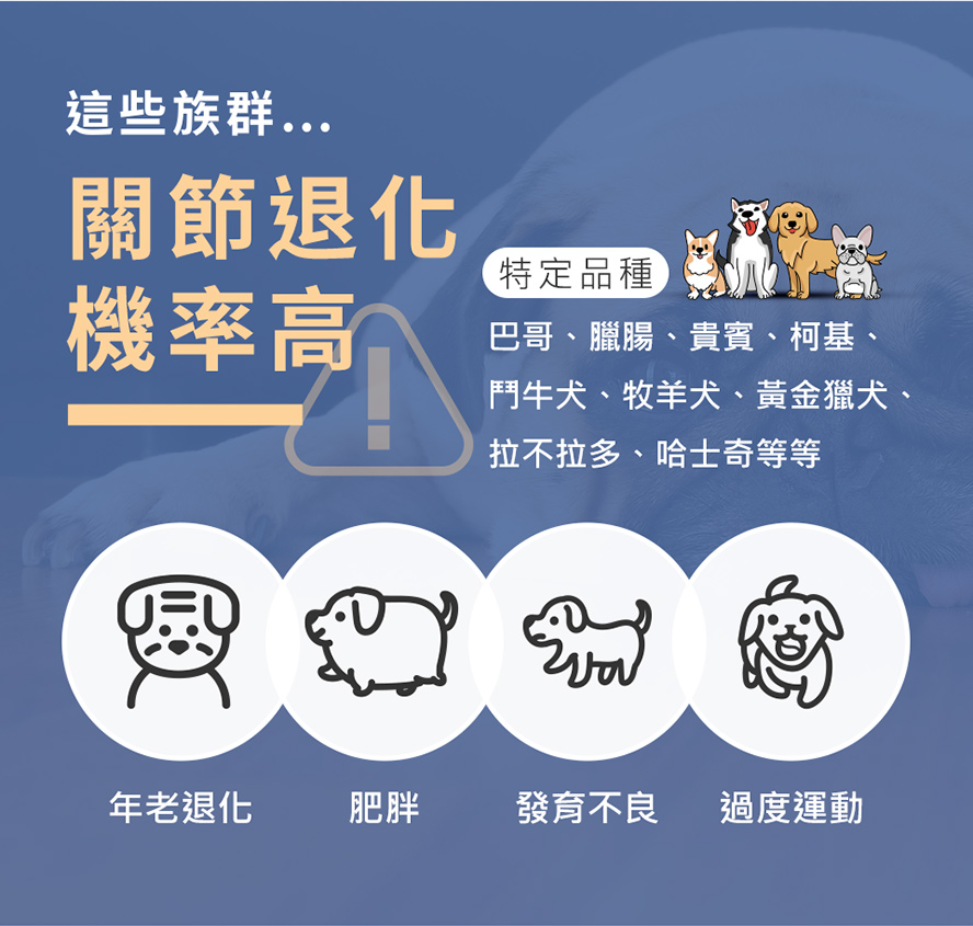 年老退化、肥胖、過度運動或特定犬種的關節退化機率高，尤其是臘腸、貴賓、柯基、鬥牛犬等犬種