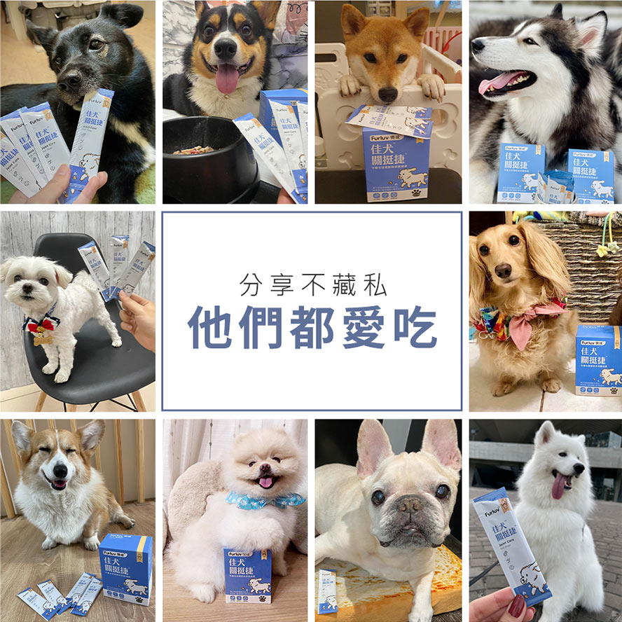 眾多狗網紅一致推薦Furluv樂球佳犬關挺捷，每天補充1包，關節不卡卡、跑跳更容易
