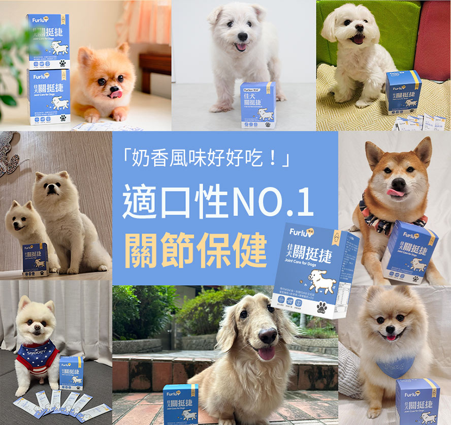 奶香風味的佳犬關挺捷適口性NO.1，9成以上狗狗都喜歡吃的寵物關節保健食品