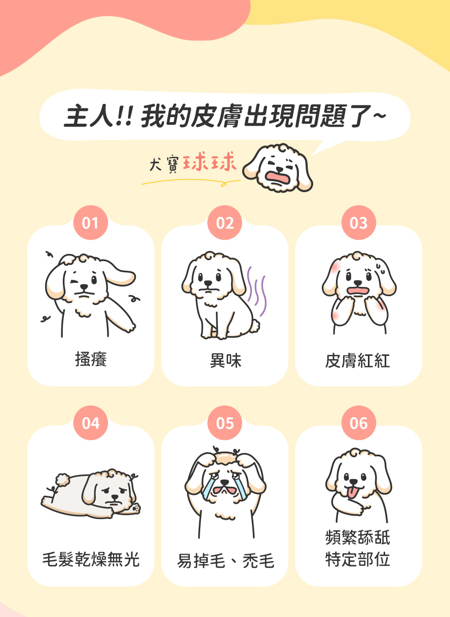 狗狗出現了問題怎麼辦?如搔癢、紅腫、異味、毛髮無光澤。