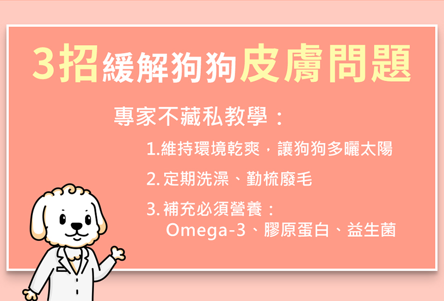 維持環境乾爽、定期幫狗狗洗澡、勤梳廢毛，補充皮膚必須營養Omega-3、膠原蛋白，皆可緩解狗皮膚問題