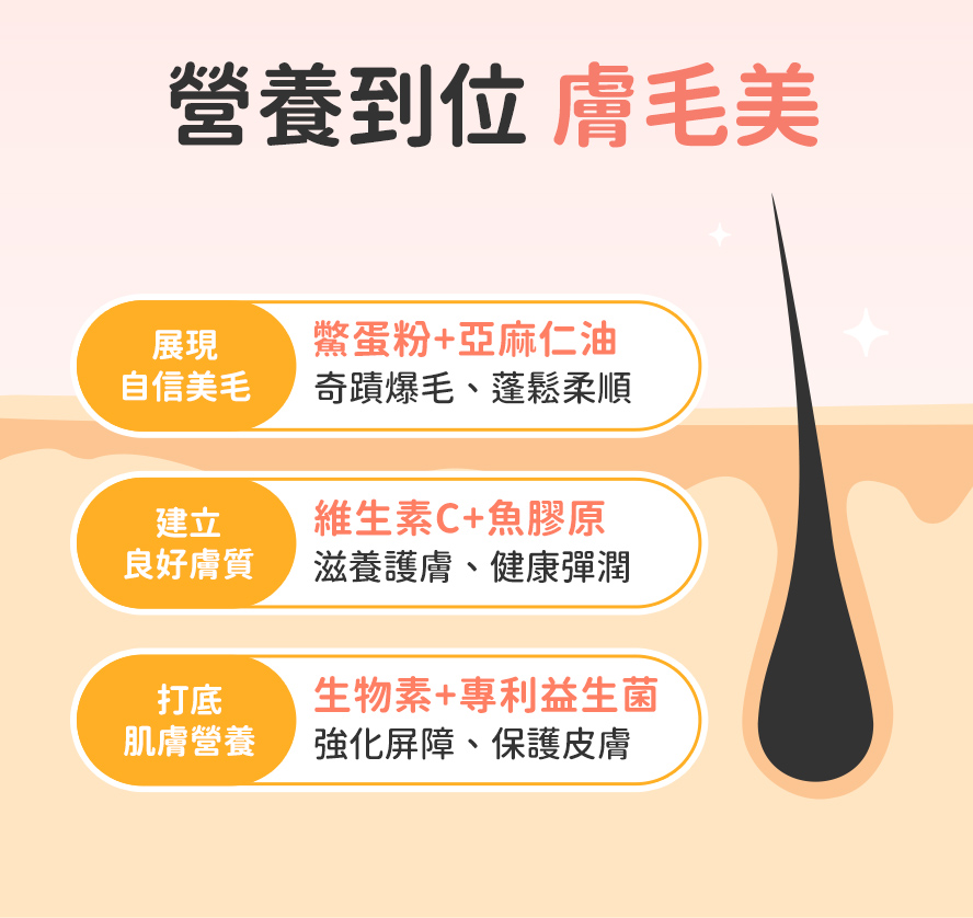 狗狗膚毛美營養優質配方,專利益生菌、膠原蛋白、鱉蛋粉、生物素。