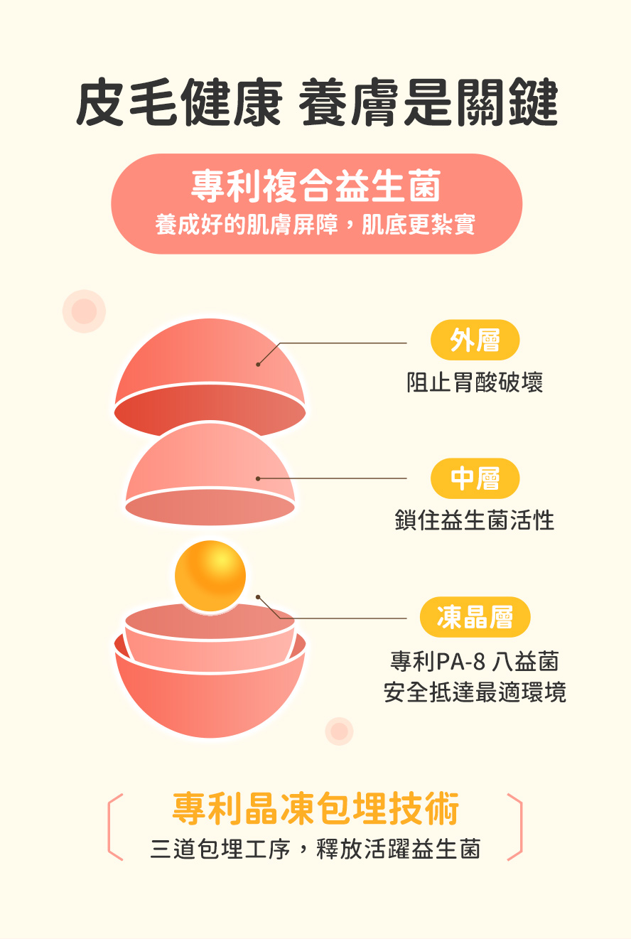 狗狗皮毛專利益生菌、包埋技術、通過胃酸抵達最適安全環境。