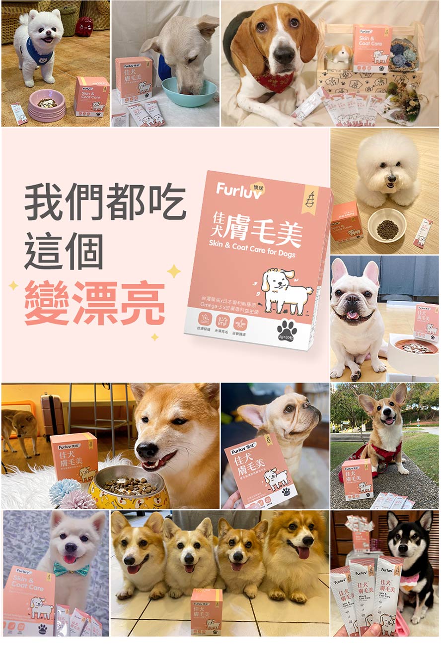 狗狗都愛吃的佳犬膚毛美，讓狗狗膚況穩定不抓癢、毛髮柔順不禿好好摸。狗網紅一致推薦的好物