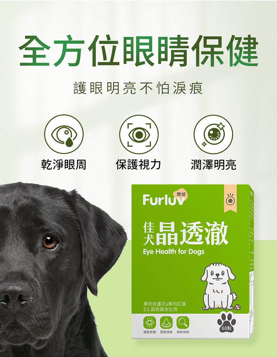 Furluv樂球佳犬晶透澈，全方位照顧狗狗眼睛，針對視力保健、潤澤不乾、淚痕改善都有幫助