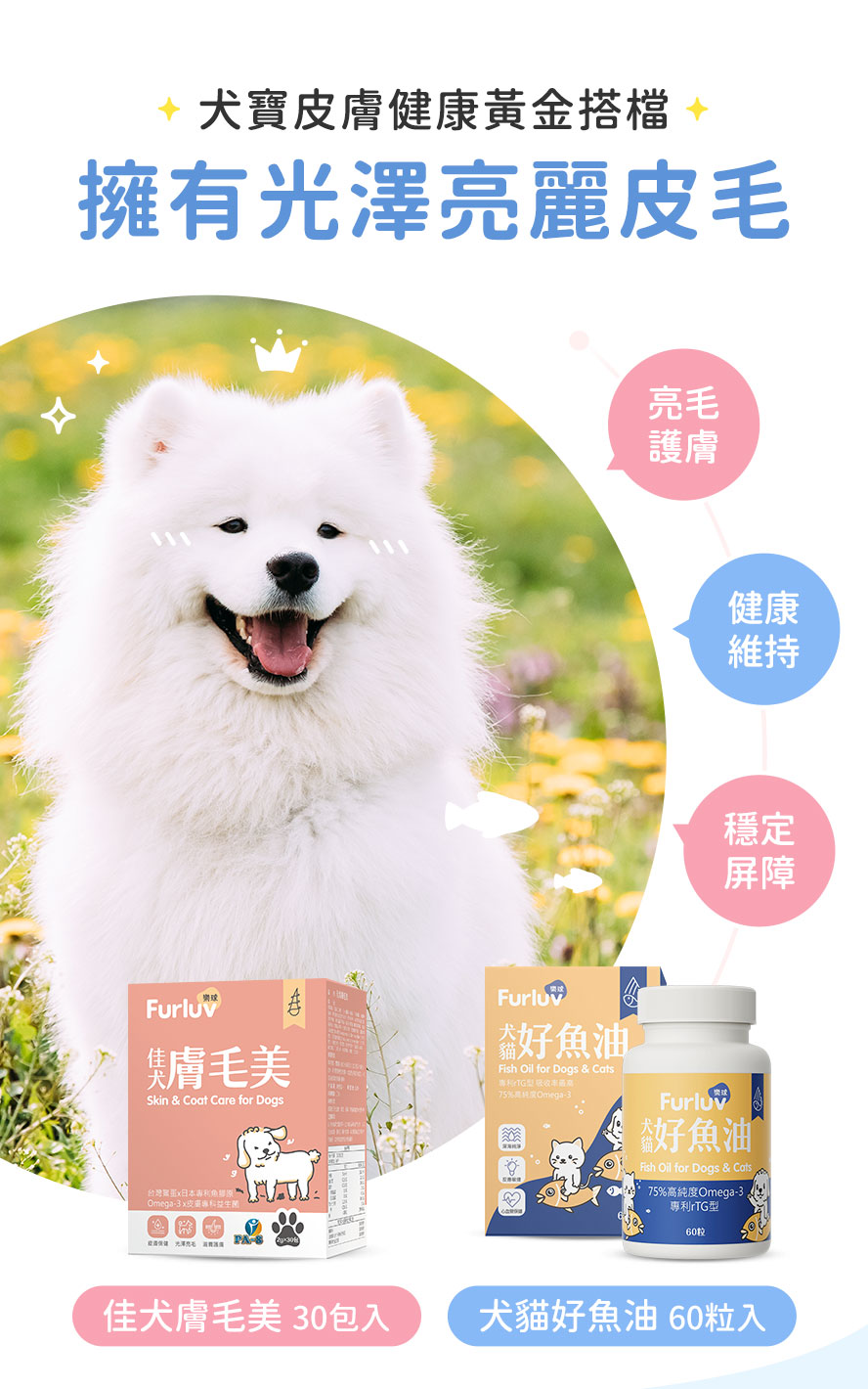 犬寶皮膚健康要吃皮毛保健與魚油。