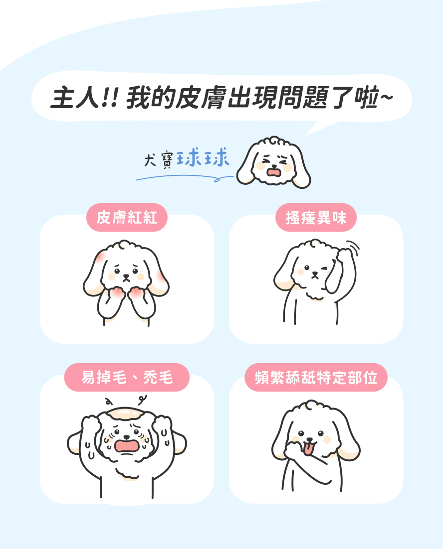 紅紅的、有異味、禿頭、搔癢情況，主人真煩惱。