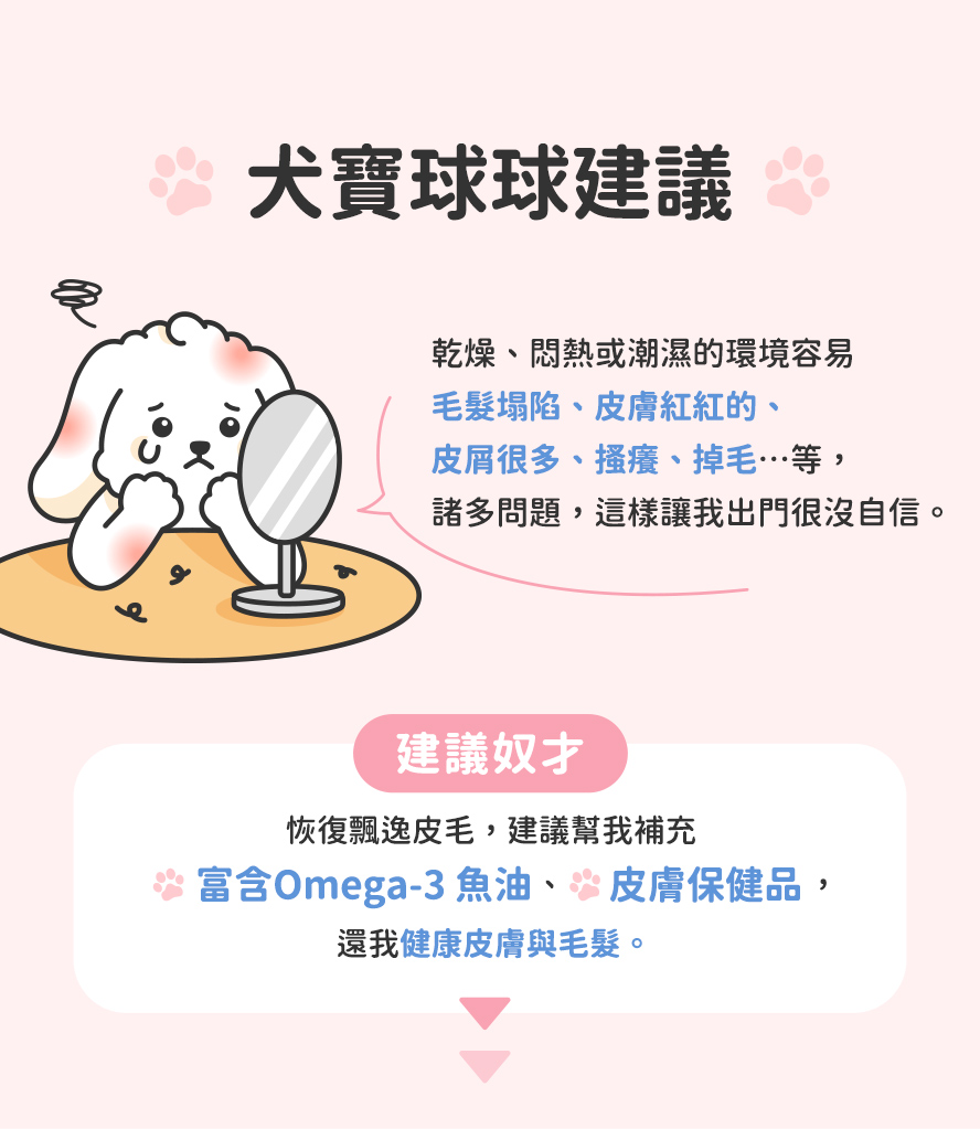 犬寶的內心建議與心聲，保護皮毛的方法。