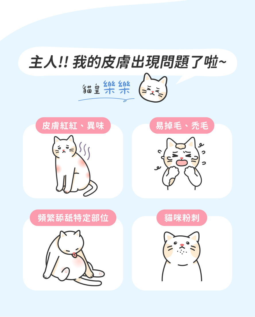 紅紅的、有異味、禿頭、搔癢情況，主人真煩惱。