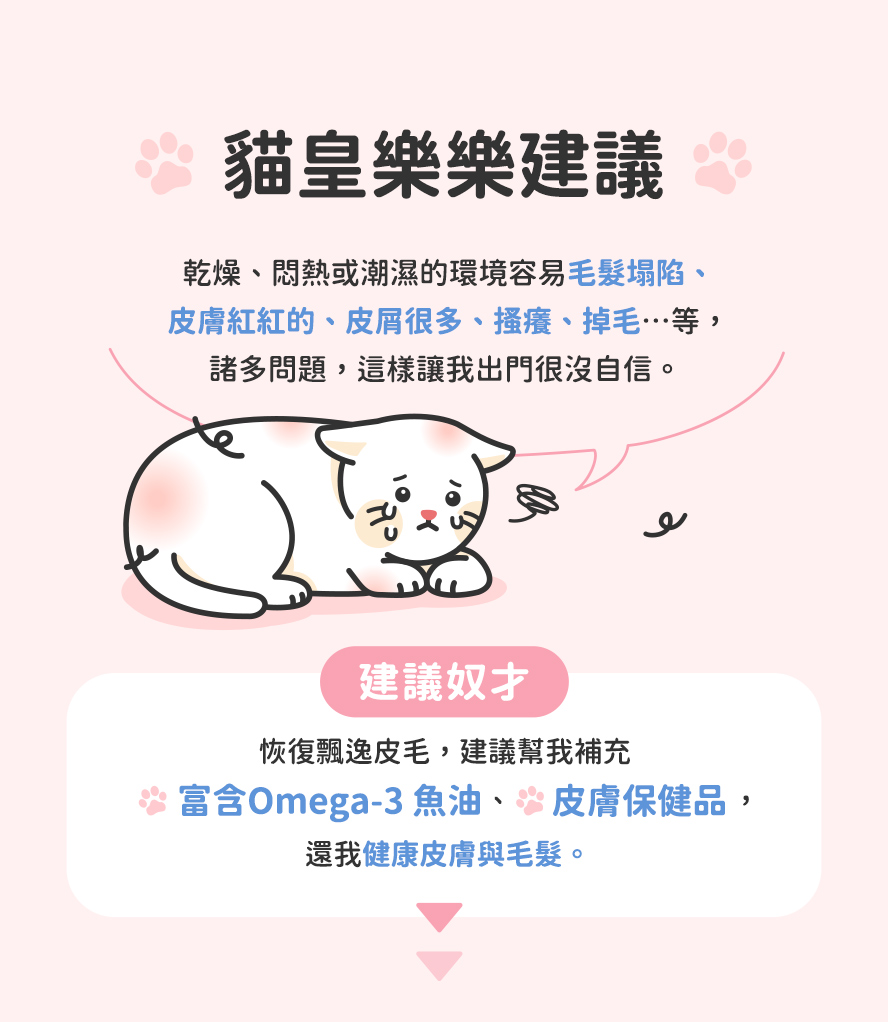 貓皇的內心建議與心聲，保護皮毛的方法。