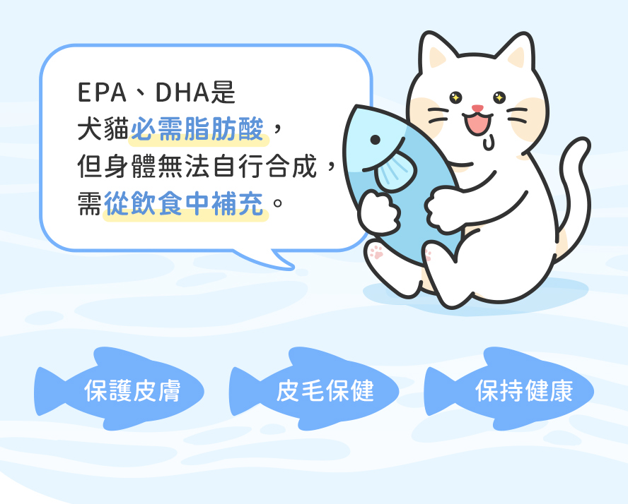 補充魚油，皮毛保健、光澤毛質、保持健康。