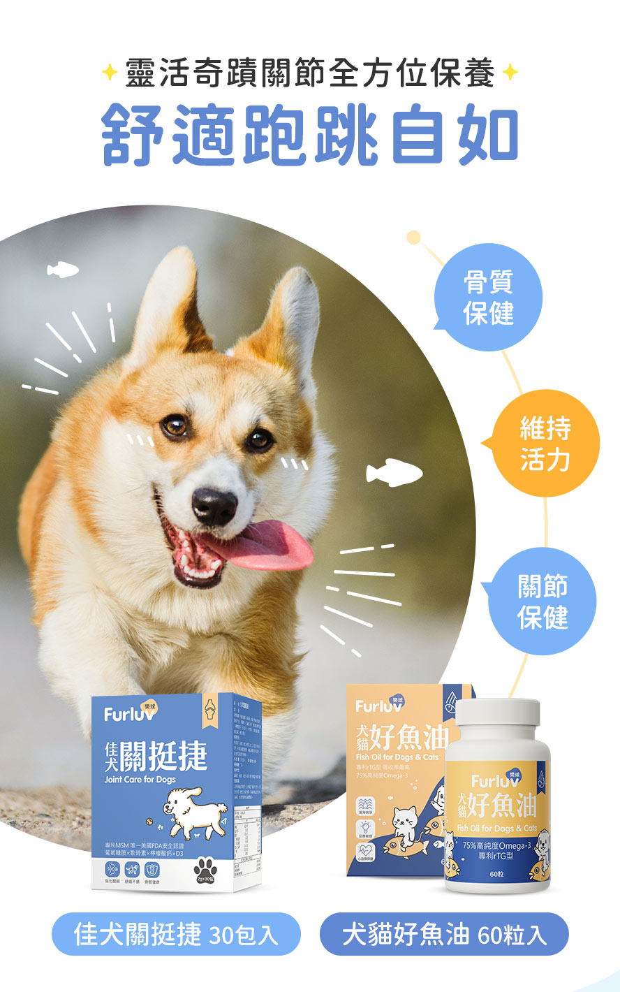 狗狗關節加強保健要吃關節保健與好魚油。