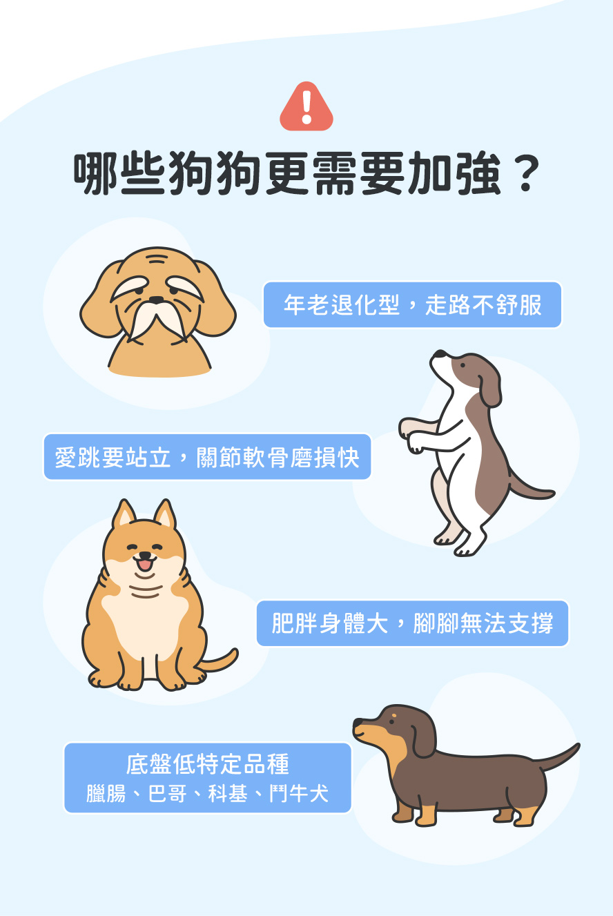 關鍵族群，老狗、胖狗、底盤低特種狗，巴哥、科基、臘腸犬。