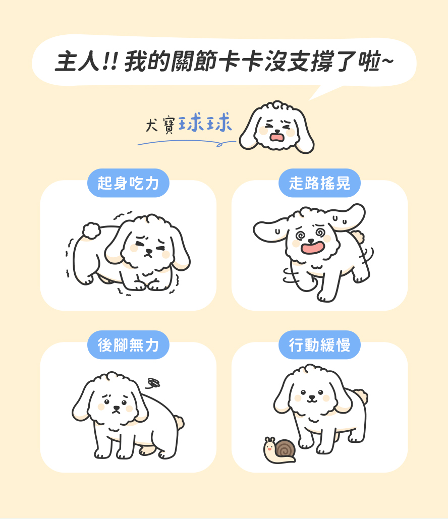 起身沒力、走路搖晃、無力、行動緩慢情況，主人真煩惱。