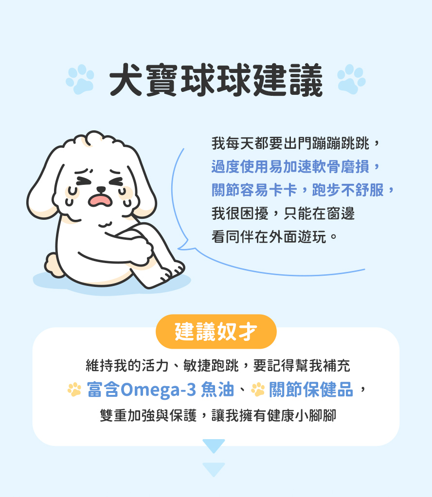 犬寶的內心建議與心聲，關節保健的方法。