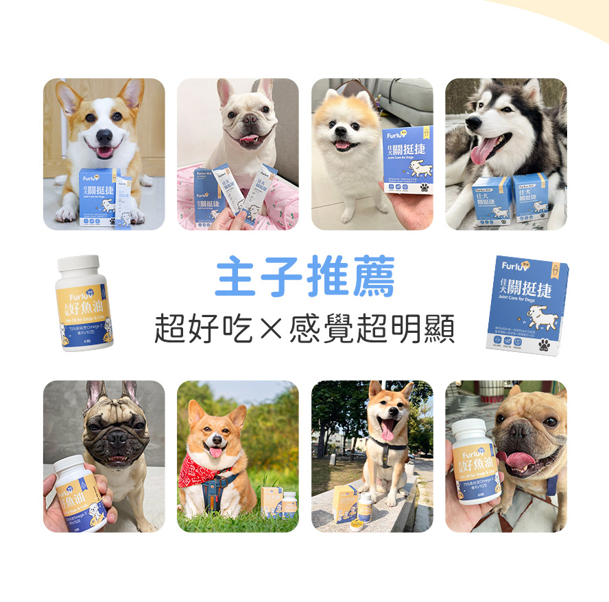 Furluv主人推薦，使用過都說超有感。
