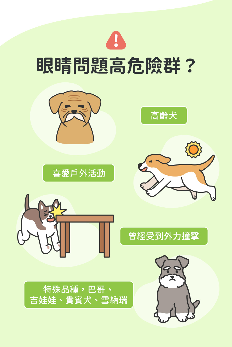 須注意族群，老狗、愛戶外、特殊品種狗，巴哥、吉娃娃、貴賓犬。