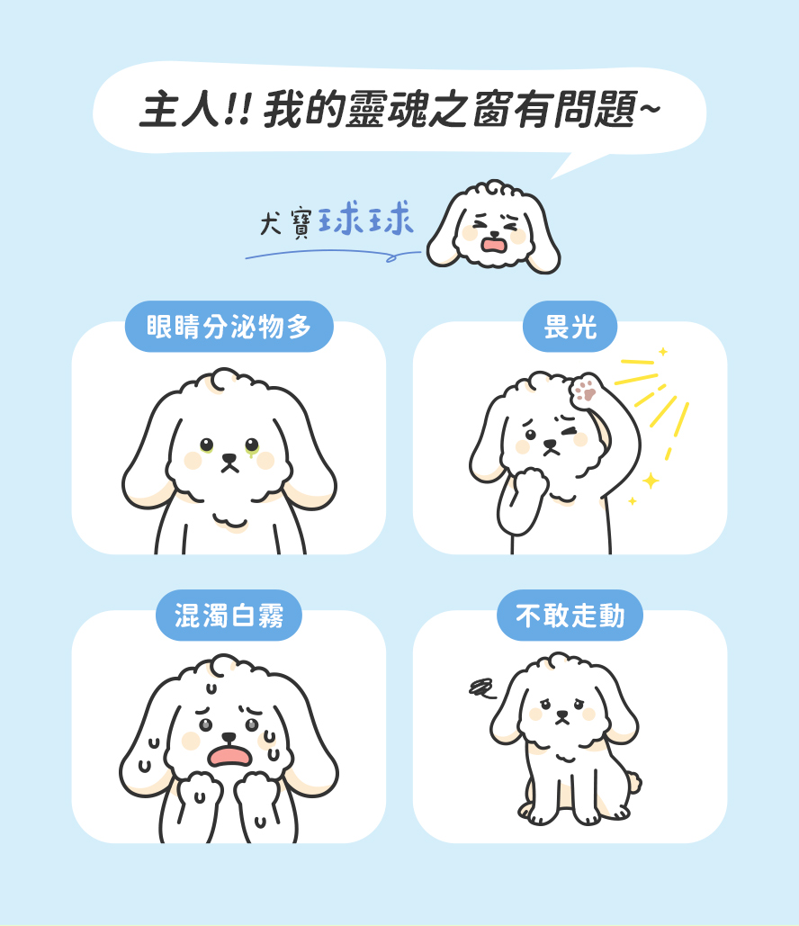 眼睛分泌物多、畏光、混濁白霧、不敢走路情況，主人真煩惱。