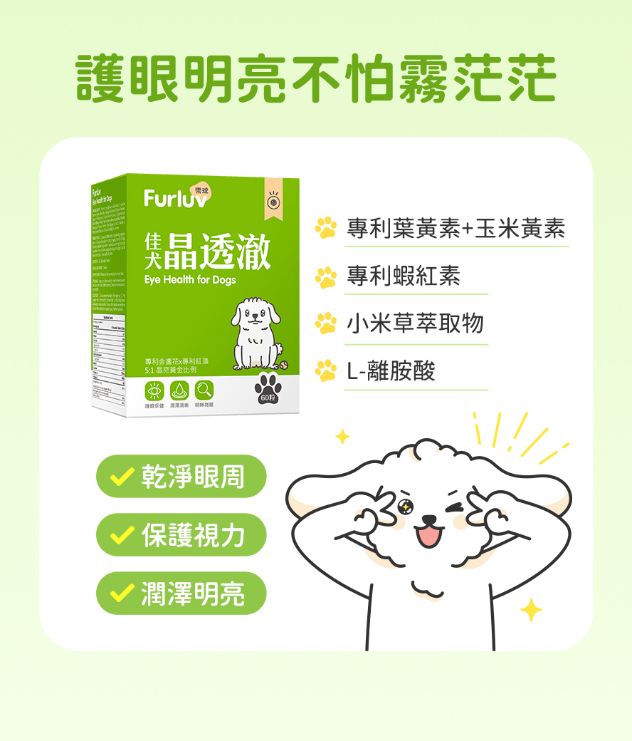 狗狗明亮眼睛，都吃樂球佳犬晶透澈。