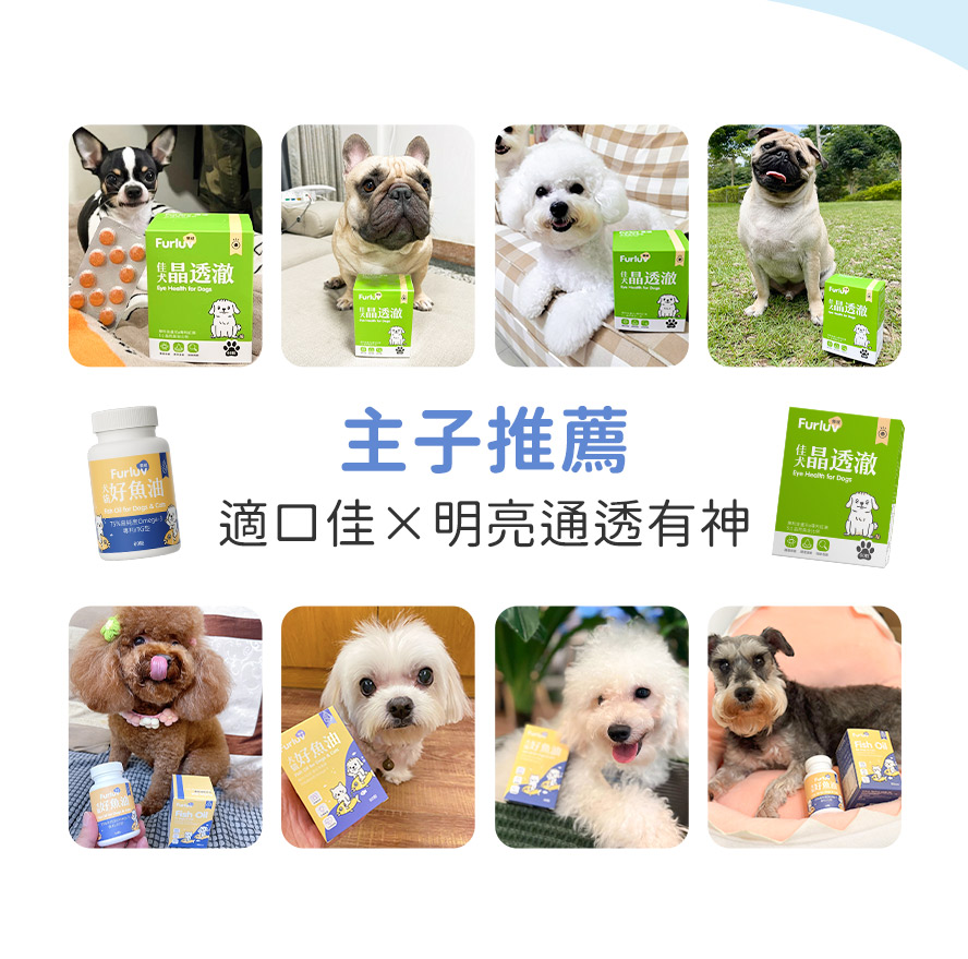 主人推薦，適口佳，明亮通透有神。