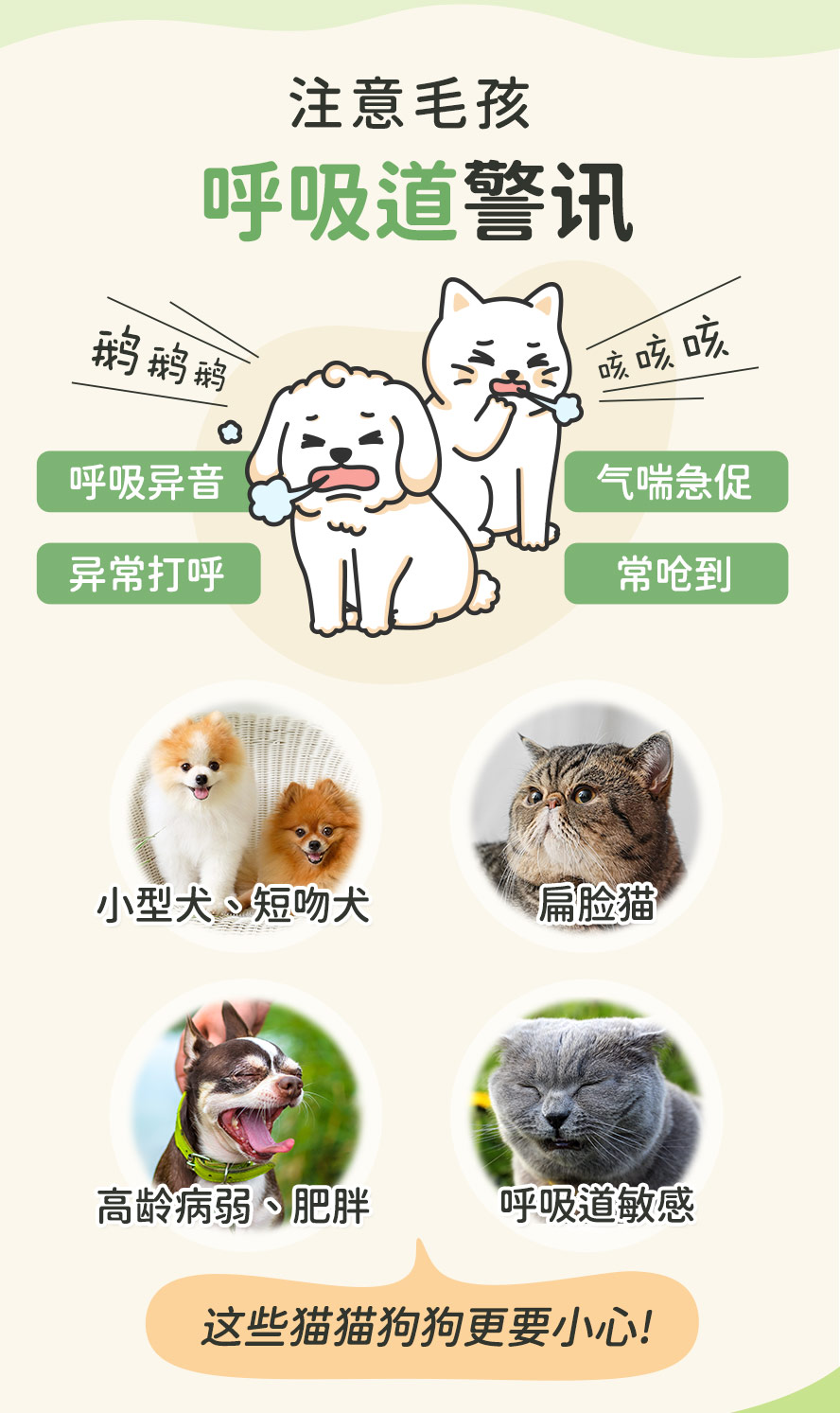 宠物呼吸道问题有哪些？小型或短吻犬、扁脸猫、高龄及肥胖猫狗要注意，咳、喘、呼吸异音、常呛到都是警讯。