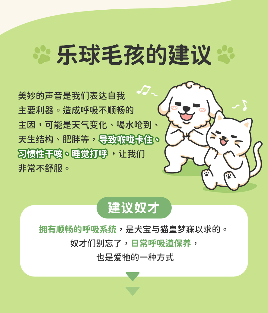 毛孩呼吸急促怎么办：易因天气、喝水呛到、天生体质、肥胖等导致喉咙不适、干咳、打呼等症状。