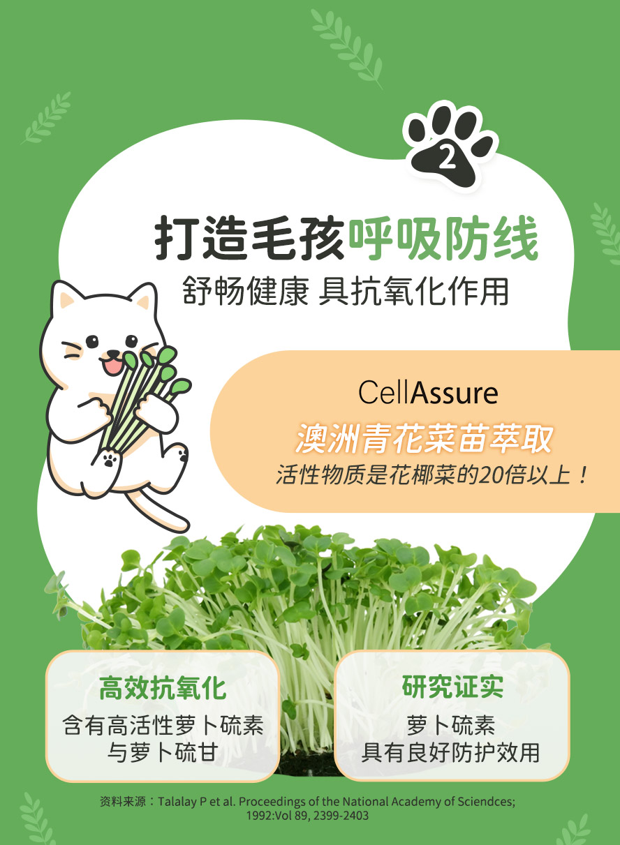 乐球净呼吸添加青花菜苗萃取物，活性萝卜硫素与萝卜硫甘，具抗氧化作用，维持保护力。